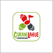 curanilahue